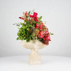 گل یلدای Y20 - 18