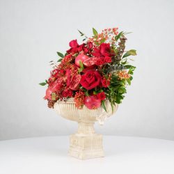 گل یلدای Y20 - 35
