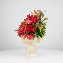 گل یلدای Y20 - 36