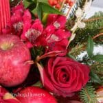 گل یلدای Y18 - Image 45