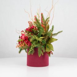 گل یلدای Y18 - 11