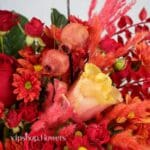 گل یلدای Y19 - Image 53