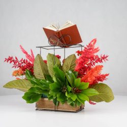 گل یلدای Y19 - 22