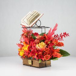 گل یلدای Y19 - 3