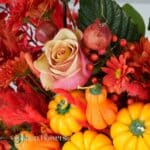 گل یلدای Y19 - Image 48