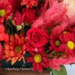 گل یلدای Y19 - Image 50