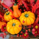 گل یلدای Y19 - Image 51