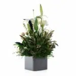 باکس گل B357 - Image 15