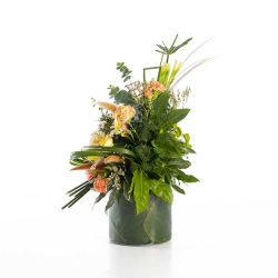 باکس گل B360 - Image 14