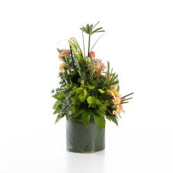 باکس گل B360 - Image 25
