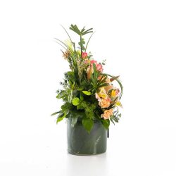 باکس گل B360 - Image 27