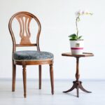 ارکیده سفید صورتی خالدار مناسب برای نگهداری در منزل است.