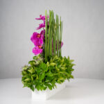 باکس گل B361 - Image 15