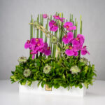 باکس گل B361 - Image 6