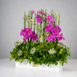 باکس گل B361 - Image 7