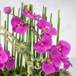 وجود گل ارکیده بنفش با زیباترین طراحی.