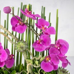 وجود گل ارکیده بنفش با زیباترین طراحی.