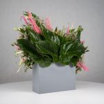 باکس گل B363 - Image 26