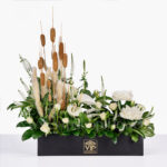 گل ترحیم F64 تزئین شده با ورونیکا تسلی بخش است.