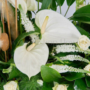 جزئیات گل آنتوریوم در این باکس گل زیباست.