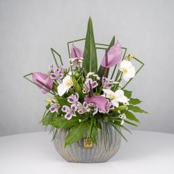 باکس گل B365 - 40