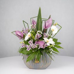 باکس گل B365 - 41