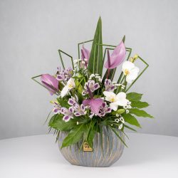 باکس گل B365 - 42