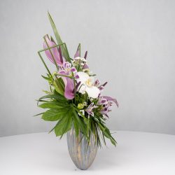 باکس گل B365 - 31