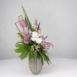باکس گل B365 - 32