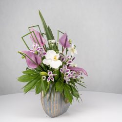 باکس گل B365 - 34