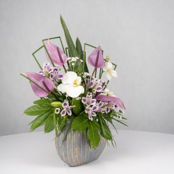 باکس گل B365 - 35