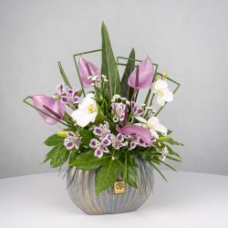 باکس گل B365 - 38