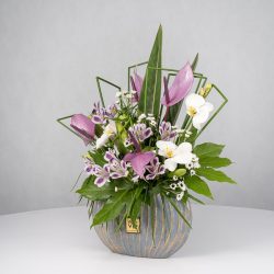 باکس گل B365 - 43