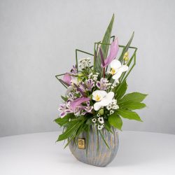 باکس گل B365 - 6