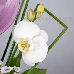 گل ارکیده تازه، جلوه ای زیبا به باکس گل می‌بخشد.