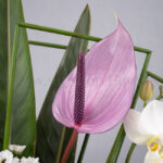 جزئیات گل‌های تازه در باکس گل زیباست.