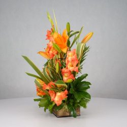 باکس گل B366 - 41