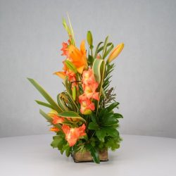 باکس گل B366 - 42