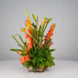 باکس گل B366 - 6