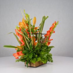 باکس گل B366 - 8