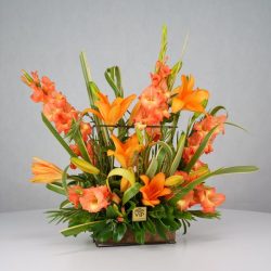 باکس گل B366 - 30