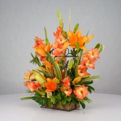 باکس گل B366 - 36