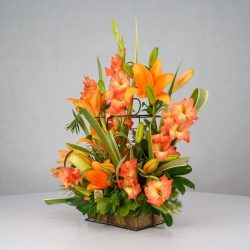 باکس گل B366 - 37