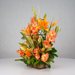 باکس گل B366 - 38