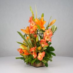 باکس گل B366 - 39