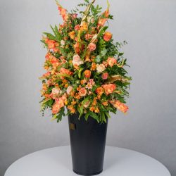 باکس گل B367 - 50