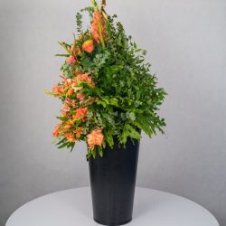 باکس گل B367 - 12