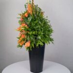 باکس گل B367 - Image 13