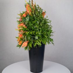 باکس گل B367 - 14