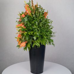 باکس گل B367 - 15